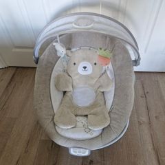 Baby Bouncer