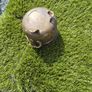 Antique tilley lamp and brass pot Image 4