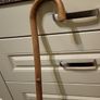 Walking stick Image 7