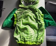 preschooler dragon costume