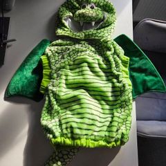 preschooler dragon costume