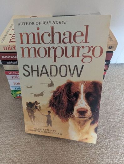 Michael Murpurgo books x 10