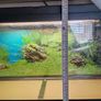 120L fish tank Image 3