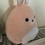 Squishmallows Image 2
