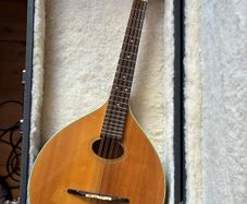 Vintage Mandola, Made in Korea