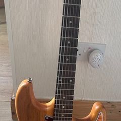 Harley Benton ST-90SA Swamp Ash DLX Series