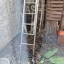 Ladder Image 2