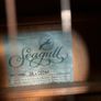 Seagull S6+ Image 3
