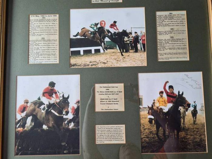 Signed Horse racing memorabilia Dawn Run Jonjo O'Neill