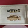 Wood Tray Image 8