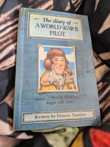 diary of a world war 2 pilot