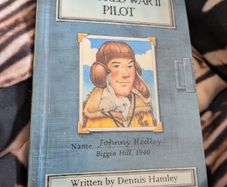 diary of a world war 2 pilot