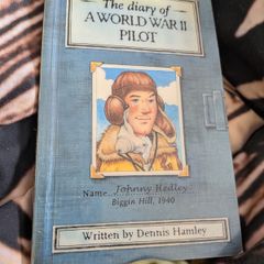 diary of a world war 2 pilot