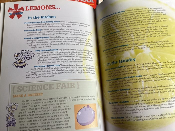 Readers Digest Extraordinary Uses for Ordinary Things Book