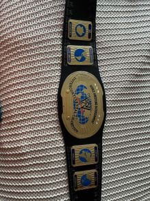 WWE Wrestling Belt