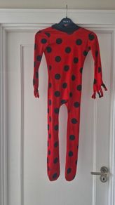 Miraculous Ladybird costume