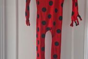 Miraculous Ladybird costume