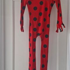Miraculous Ladybird costume