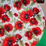 Cake Plate & Server Set with Storage Box | The Leonardo Collection -- Red Poppies Image 7