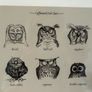 owl print Image 2