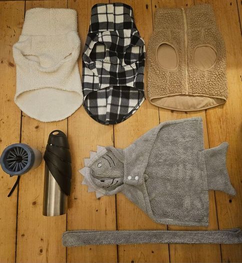 Premium bundle of H and M dog accessories in excellent condition. Perfect for a small dog.