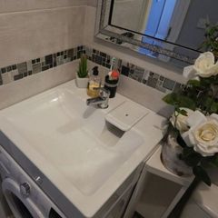Single wash basin / sink