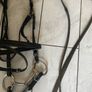 horse bridle Image 3