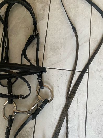 horse bridle