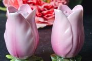Vintage Rare Tulips Salt and Pepper Shakers
