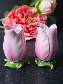 Vintage Rare Tulips Salt and Pepper Shakers