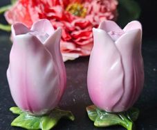 Vintage Rare Tulips Salt and Pepper Shakers