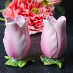 Vintage Rare Tulips Salt and Pepper Shakers