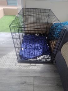 Dog cage