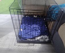 Dog cage