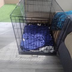 Dog cage