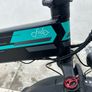 Fiido M1 Pro Electric Bike Image 2