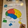 Craniosacral Therapy Study Books Image 7