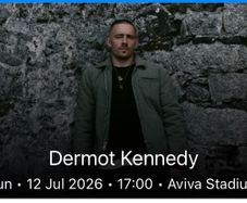 Dermot Kennedy and Amble Aviva Sunday x 2