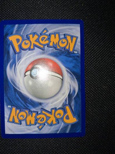 Pokemon Card : Shauna 111a