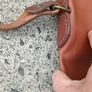 Leather Quality Gunslip Image 6