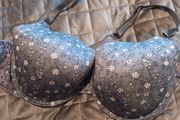 42 DD push up wired brand new bra