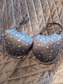 42 DD push up wired brand new bra