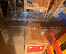 Sahara 80 small pet tank gerbils hamster