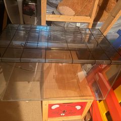 Sahara 80 small pet tank gerbils hamster