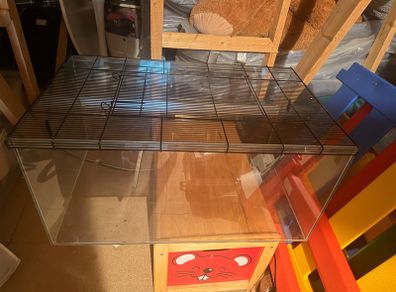 Sahara 80 small pet tank gerbils hamster