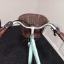 Electric bike Image 4