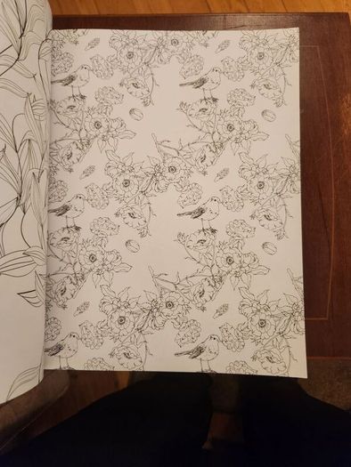 The Flowers And Nature Colouring Book.  Large Volume Paperback In Good Condition.