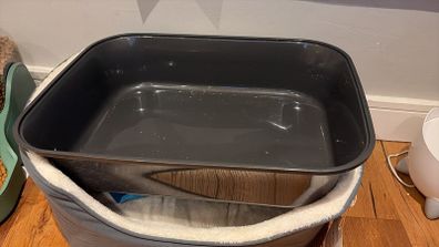 cat litter tray