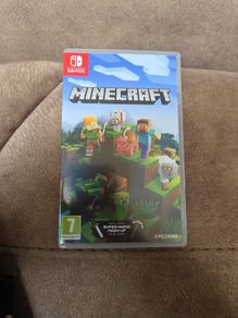 Nintendo Switch Game