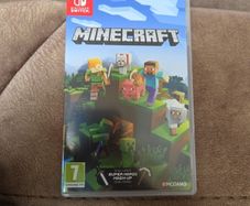 Nintendo Switch Game